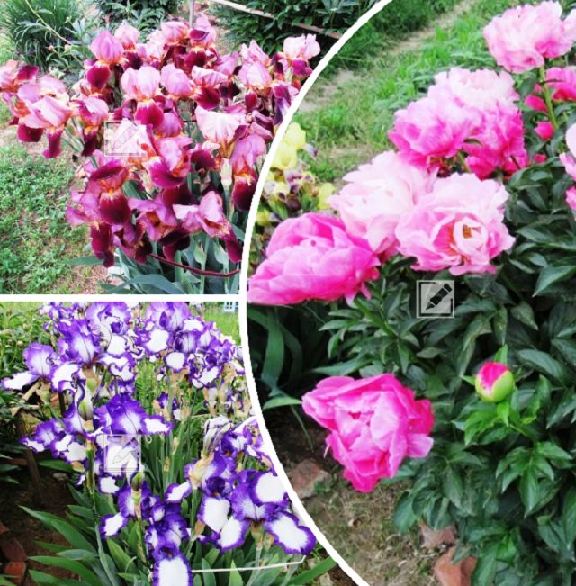 ���� �� ������� � �������: ������ ��� ������� �������� � ��������� ����