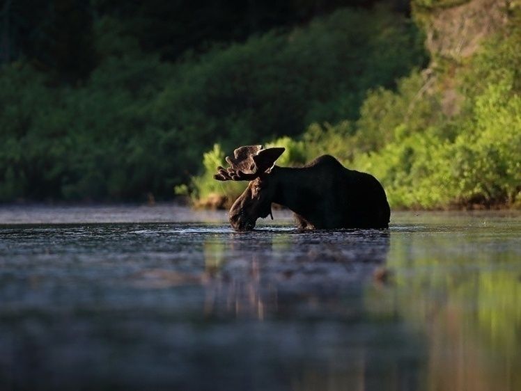 ������� � ������������ � ������ ������ ��� �����������