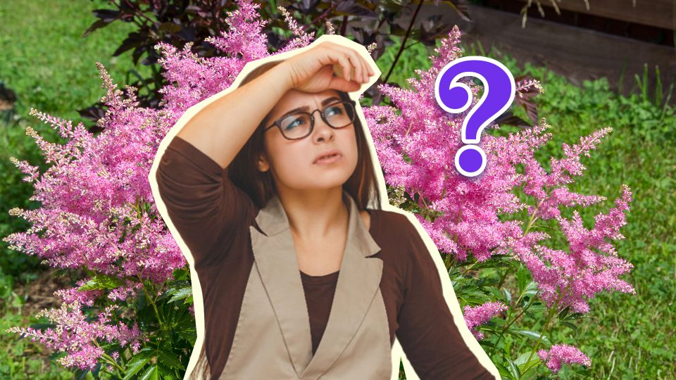 �������� �� ������ ��-�� ���� ������: ��������� ����� ����� �� �������