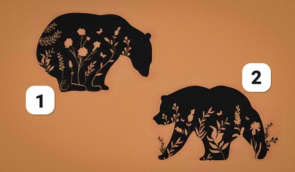 ����, ������� ���������� ���� ��������: ��������� ������� � ������� ������ � ����