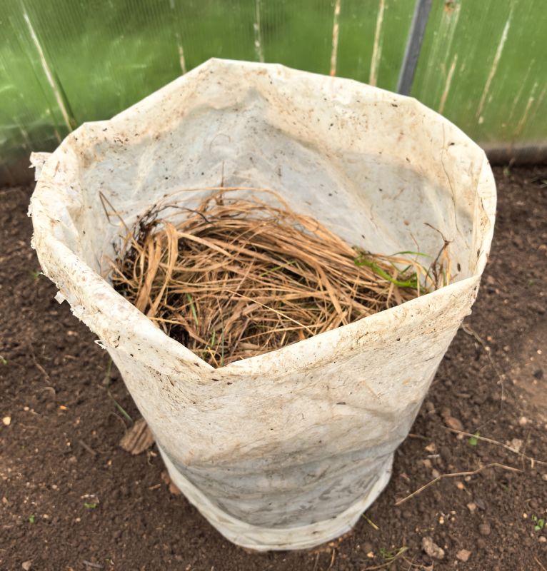 ��� ��������� ������ ������ � ������: ������� ��������� ������