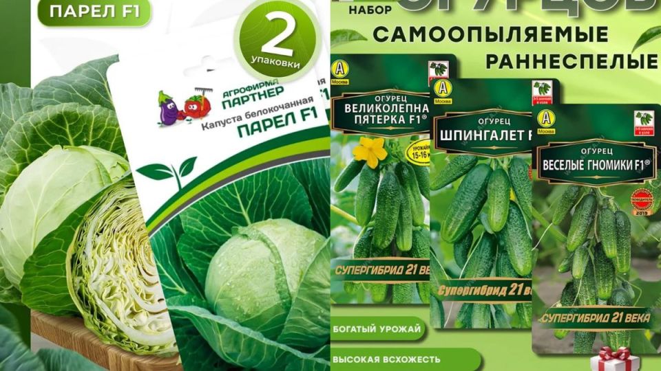 ��� ������ �����, �� ������� ����� ��������� ��������