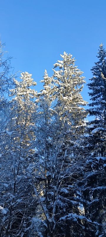 ����-����� Parkala: ��� � ������� � ����������� �����