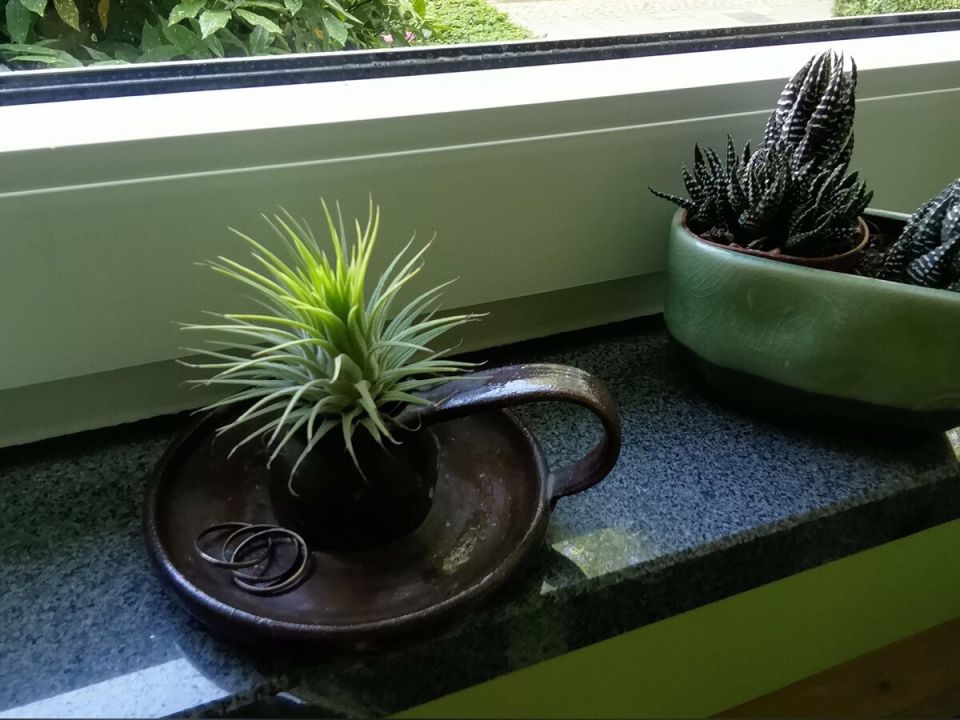 ����������: ����������� ���� ��� ������ ��������� ��� ����� � ����