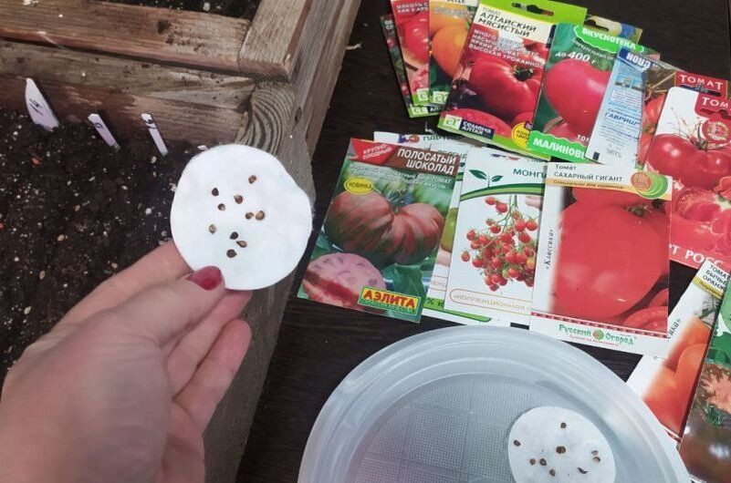 ��� ��������� ���������� ����� ������ ������� �� �������