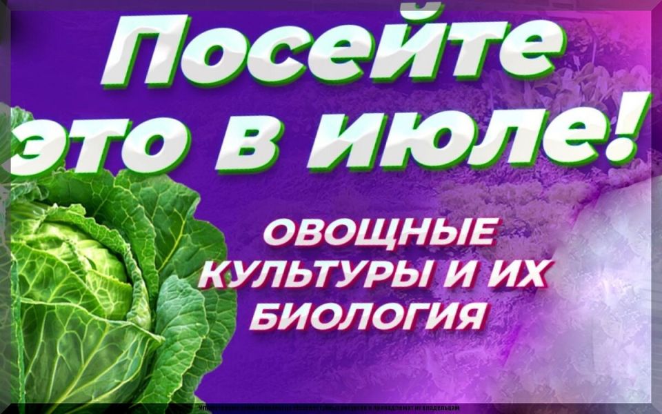 �������� ������: ����� �������� ����������� ������� ������