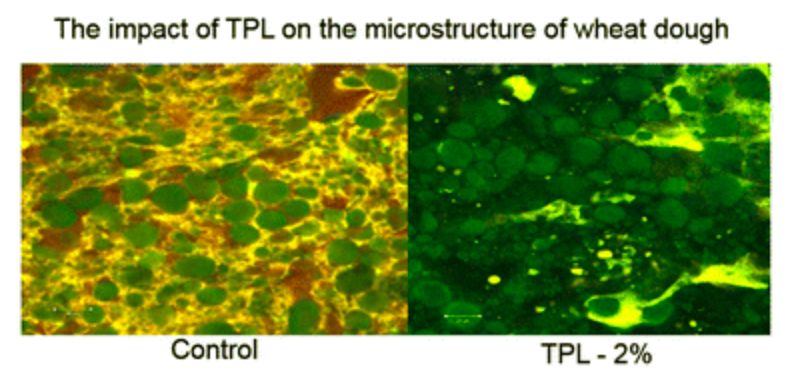 Чайные полифенолы ухудшают качество муки: новое исследование из Китая