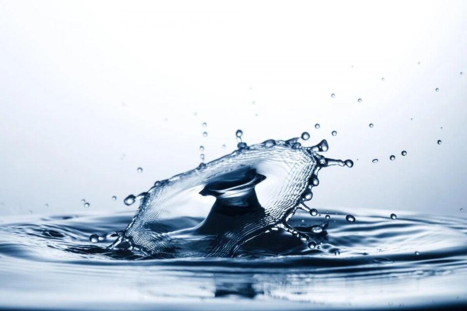 ������ ����������� ���������� ��������� �����������, �������� ������������� � ������