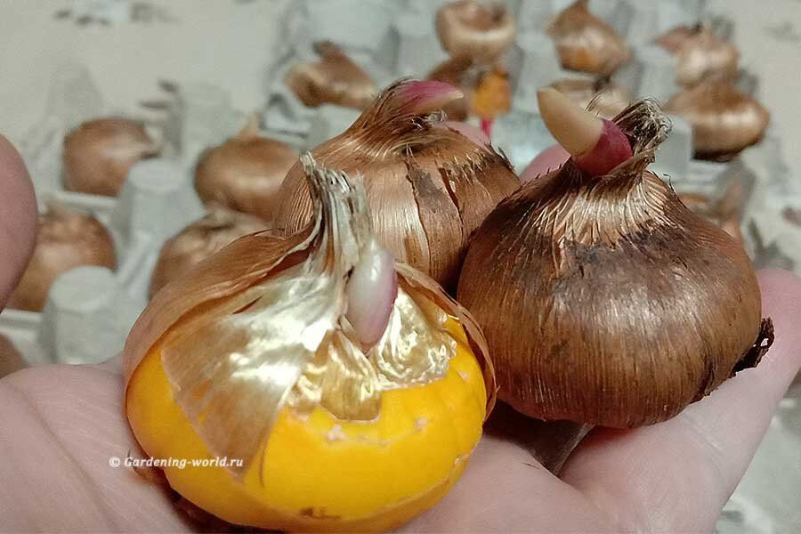 ��� ��������� ������ ����������: 10 ������ ����� � 3 �������� ������