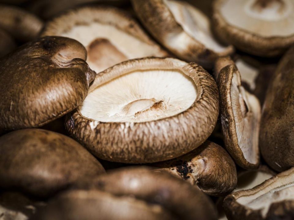 �������: ���� ��������, ������� ������� � ������ � ����������