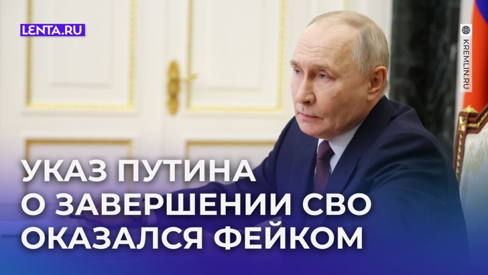 Слухи о завершении СВО: фальшивый указ подогревает обсуждения в сети