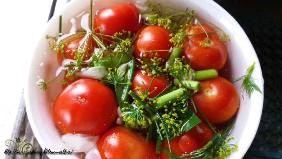 Соленые помидоры на зиму: легкий рецепт, который порадует небоящихся экспериментов