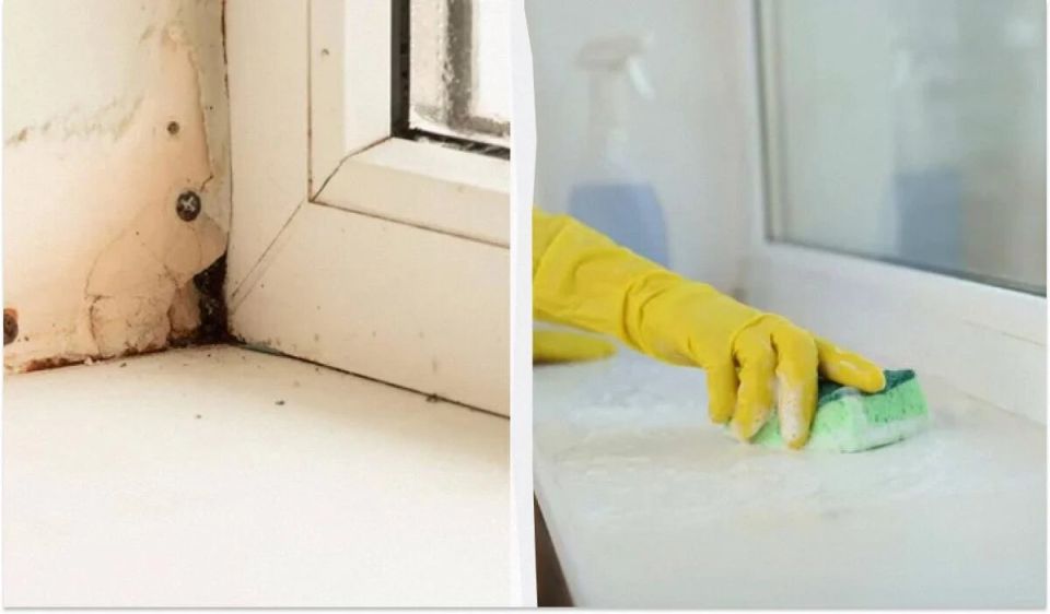 ��� ������ � ������ ������� ������������ ����������� ���