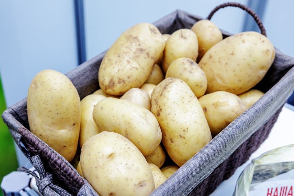 Семь неожиданных овощей для полезного питания в Великий пост