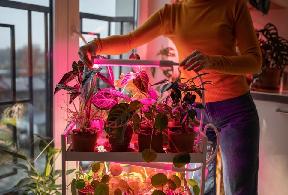 ��� ������������ �������� ������� ������ � ������: ������ ��� ����������