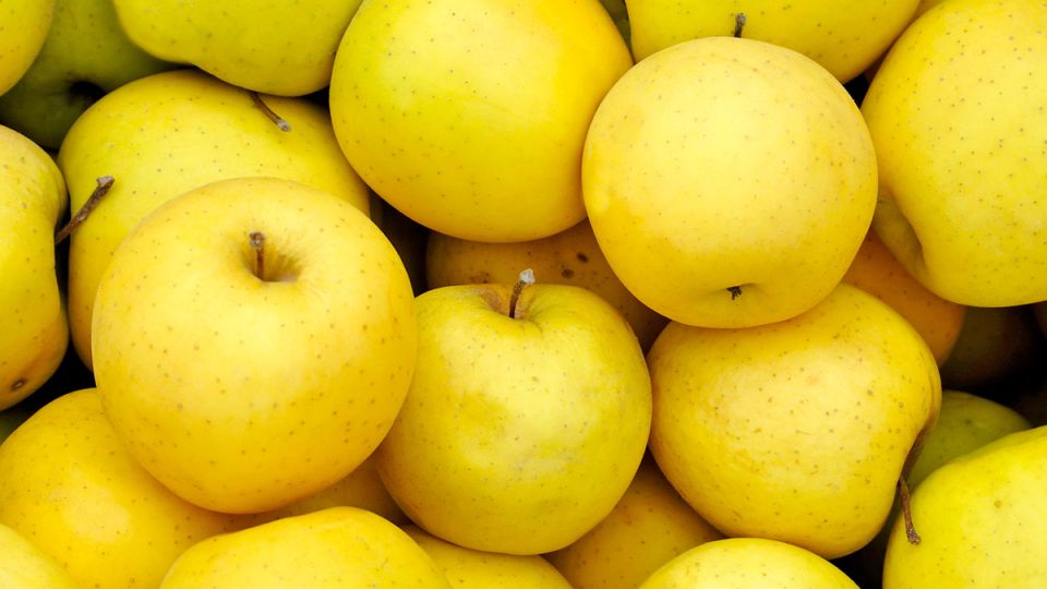 ������, ������� �� �����������: ��������� � ��������� ����