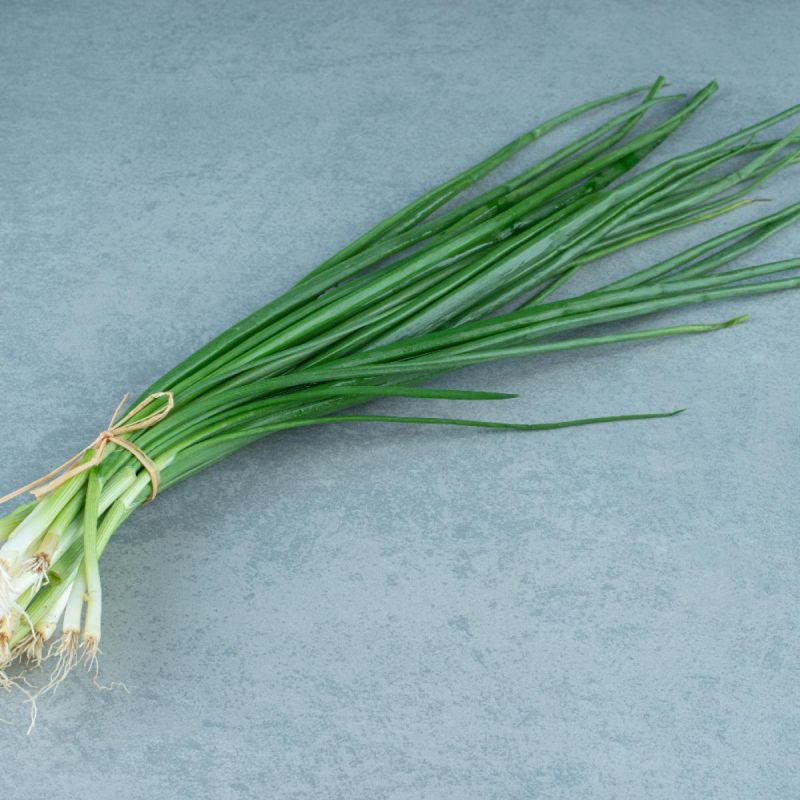 ��� �� ��� ������ ������������ ������ ������� �� ����� �����