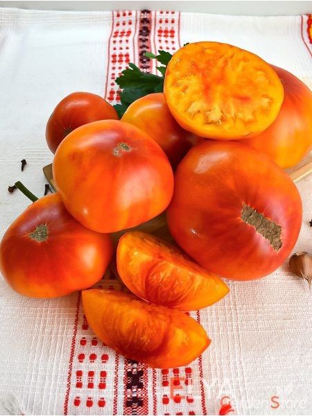 Казахский шевалье: томат с уникальным вкусом и богатой историей